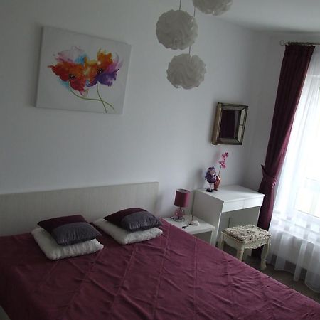 Anca Apartment Braşov Extérieur photo