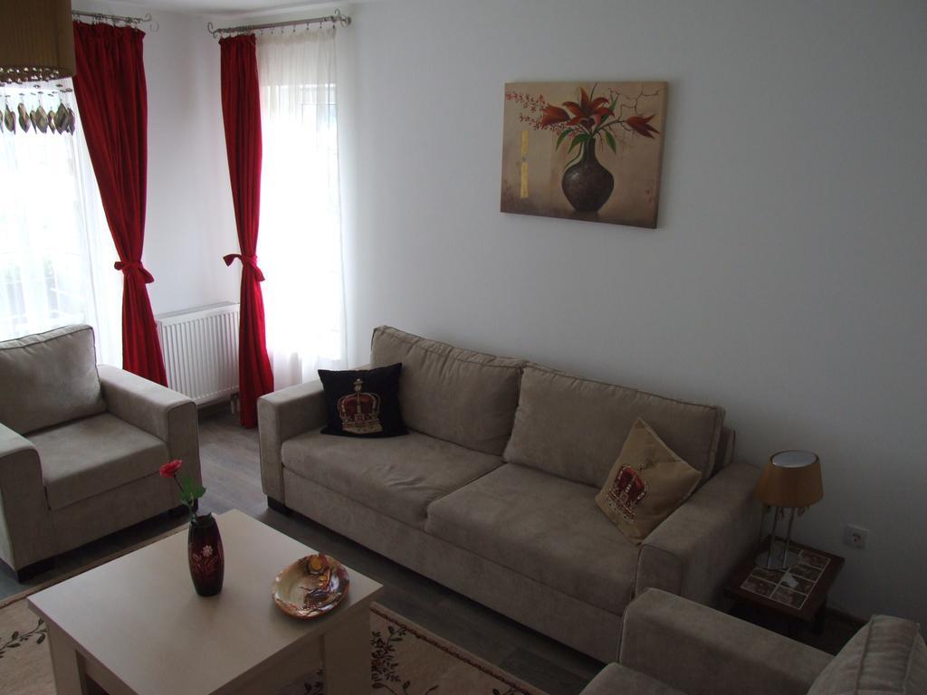 Anca Apartment Braşov Extérieur photo