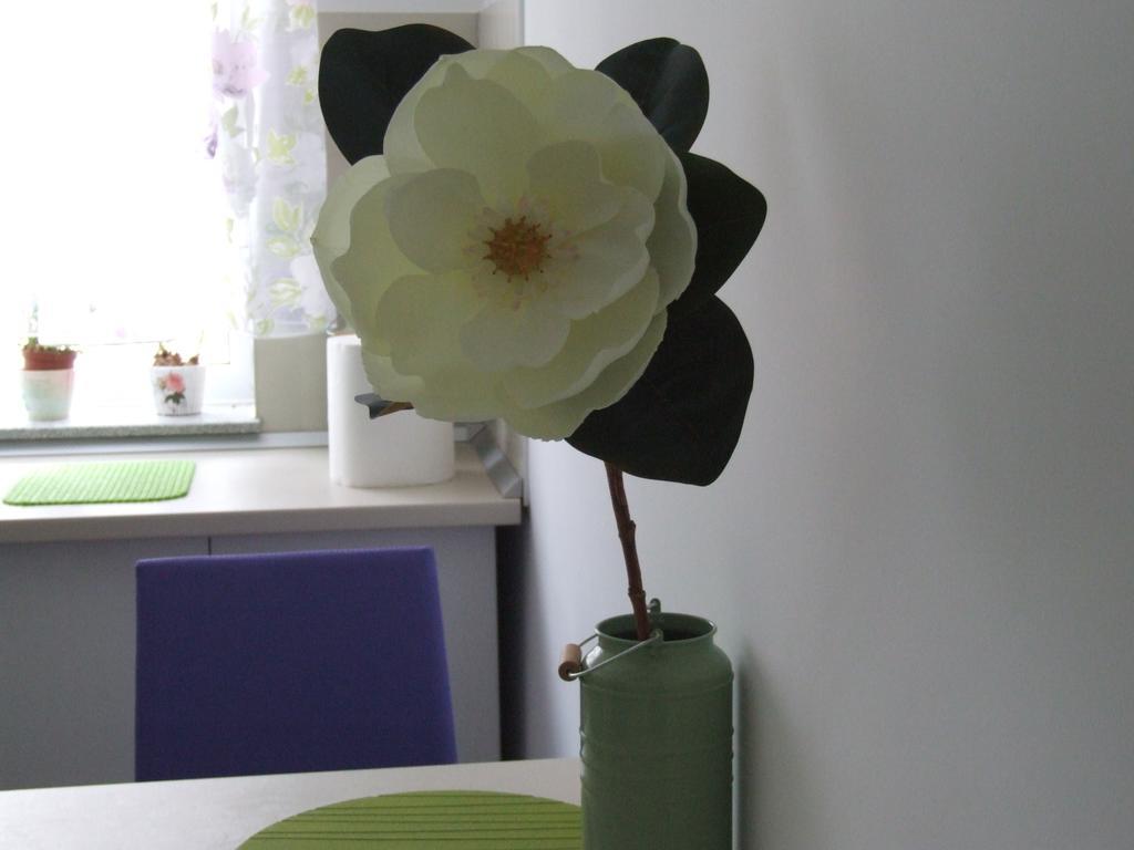Anca Apartment Braşov Extérieur photo