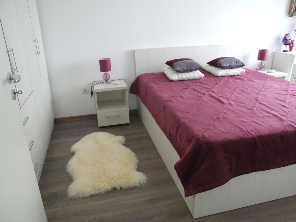 Anca Apartment Braşov Extérieur photo
