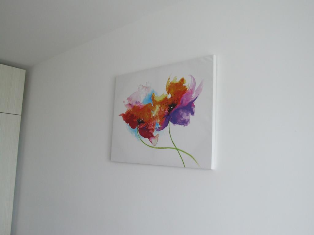 Anca Apartment Braşov Extérieur photo