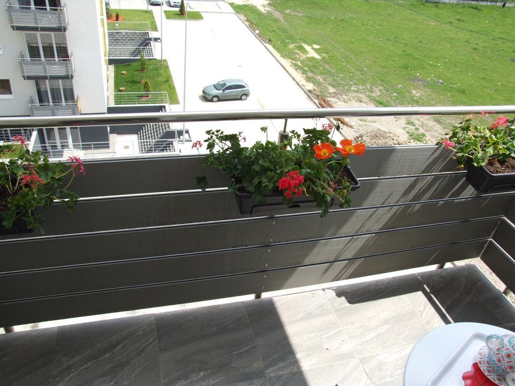 Anca Apartment Braşov Extérieur photo