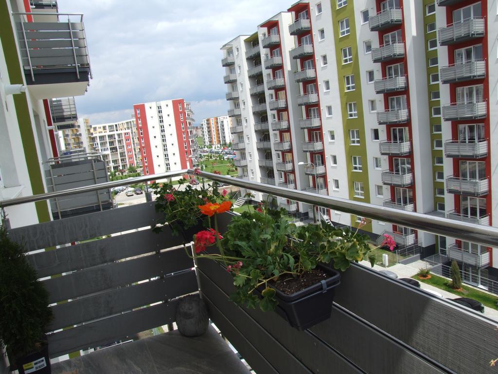Anca Apartment Braşov Extérieur photo
