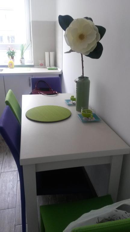 Anca Apartment Braşov Extérieur photo